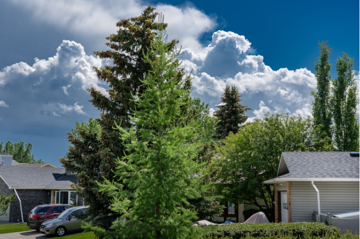 hail resistant roofing calgary